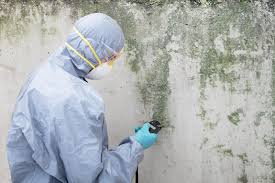 Biohazard Mold Removal in Cove Creek, NC